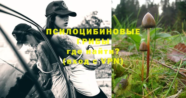 прущая мука Бородино